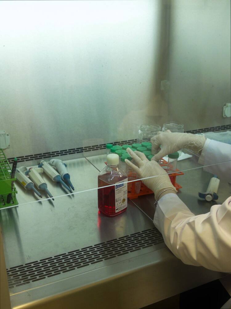 Laboratory technician working with cell-culture equipment